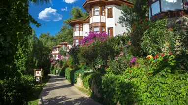 Letoonia Club