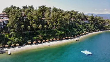 Letoonia Club