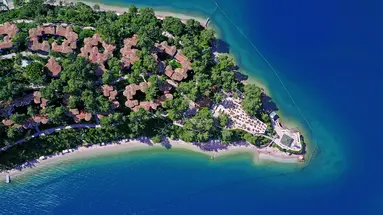 Letoonia Club