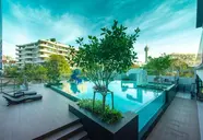Lewit Pattaya
