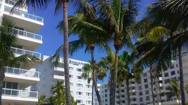 Lexington Miami Beach