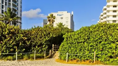 Lexington Miami Beach