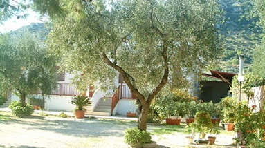 Lido dei Pini