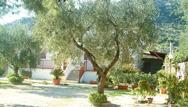 Lido dei Pini