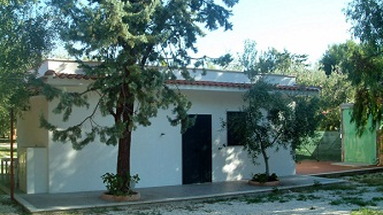 Lido dei Pini