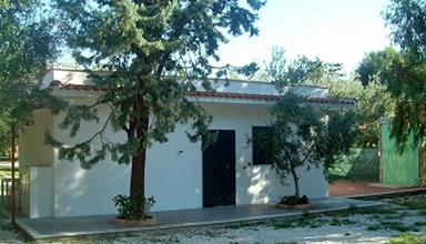 Lido dei Pini