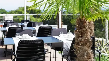 Lifestyle Vitar