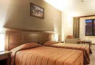Lion Bansko