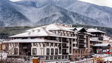 Lion Bansko