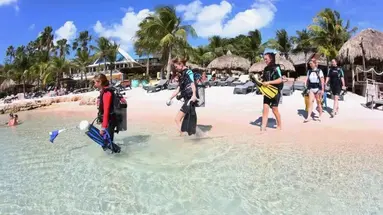 Lions Dive & Beach Resort