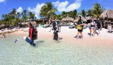 Lions Dive & Beach Resort