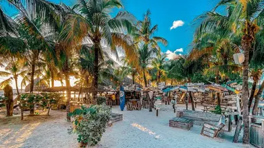 Lions Dive & Beach Resort