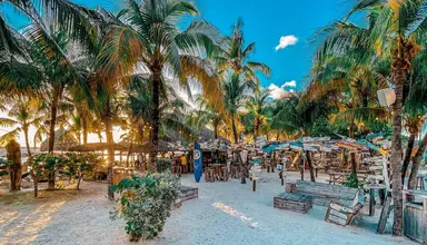 Lions Dive & Beach Resort