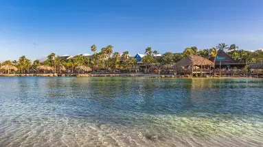 Lions Dive & Beach Resort