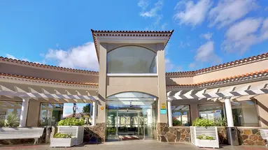 Livvo Koala Garden