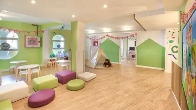Livvo Koala Garden