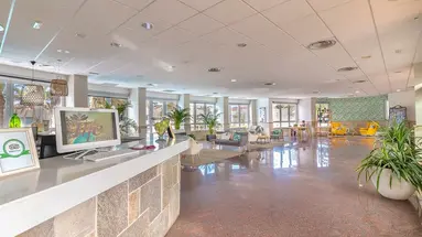 Livvo Koala Garden