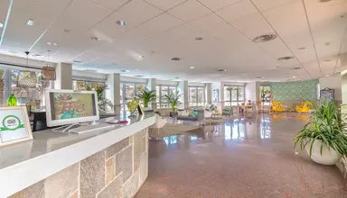 Livvo Koala Garden