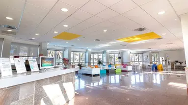 Livvo Koala Garden