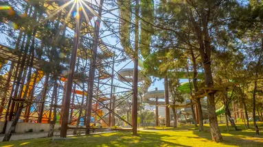 Long Beach Club Nature