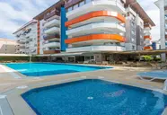 Lonicera City