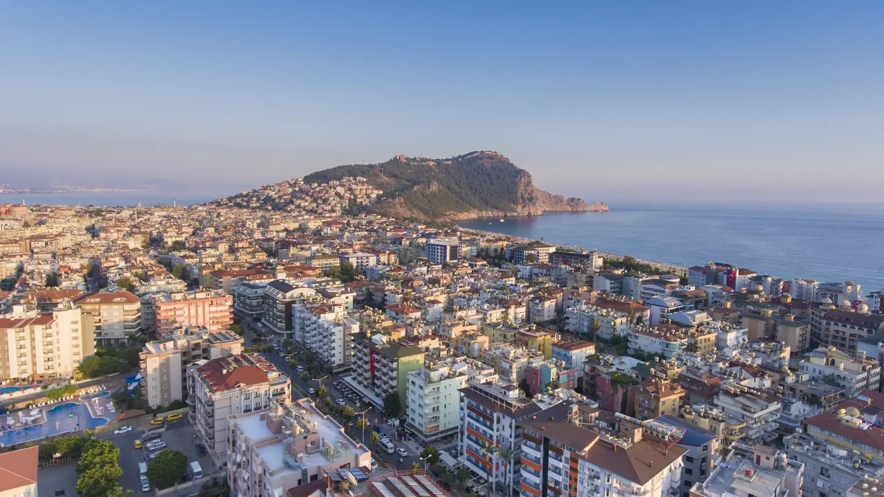 Lonicera City
