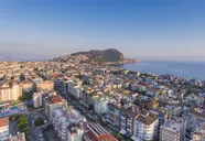 Lonicera City