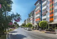 Lonicera City