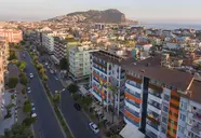 Lonicera City