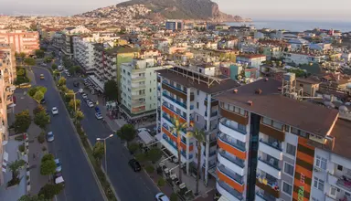 Lonicera City