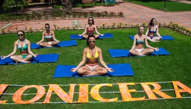 Lonicera Resort & Spa