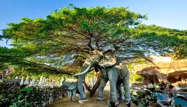 Lopesan Baobab Resort