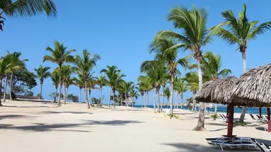 Luxury Bahia Principe Bouganville