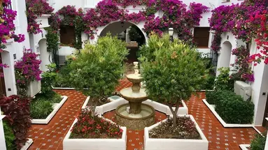 Macdonald Villacana