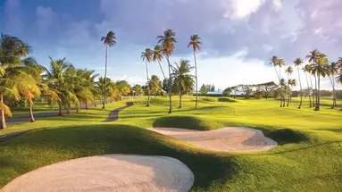 Magdalena Grand Beach Resort