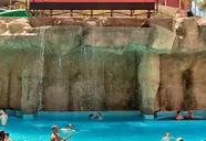 Magic Aqua Rock Gardens