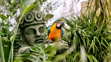 Magic Natura Animal, Water Park & Polynesian Lodge Resort