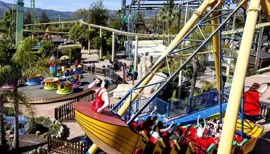 Magic Sports