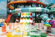Magic Sports