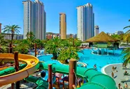 Magic Tropical Splash
