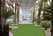 Magic Tropical Splash