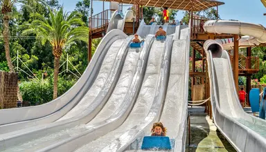 Magic Tropical Splash