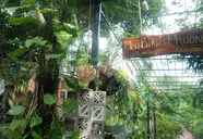 Mai Binh Phuong Bungalow