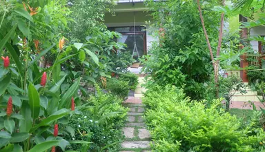 Mai Binh Phuong Bungalow