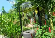 Mai Binh Phuong Bungalow