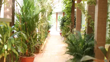 Mai Binh Phuong Bungalow