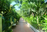 Mai Binh Phuong Bungalow