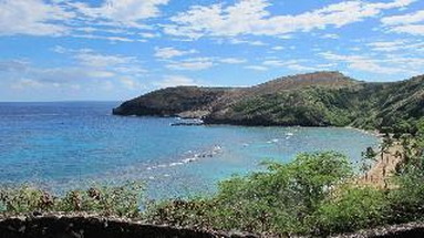 Maile Sky Court