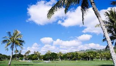 Maile Sky Court