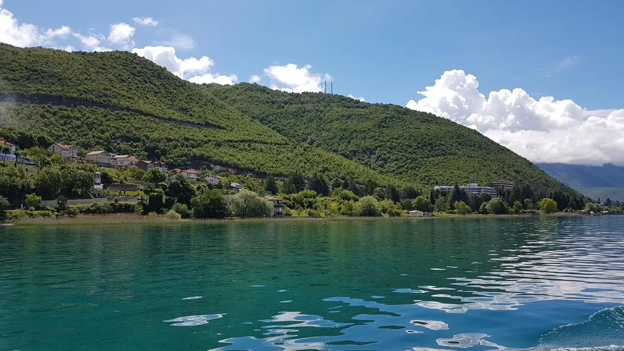 Maiva